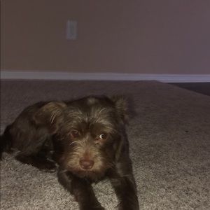 Meet your Posher, Terria